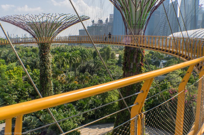 a1_20150722_20150722__DSC1569_6000 x 4000