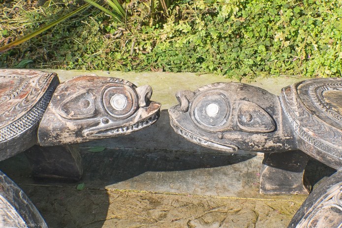 a1_20150722_20150722__DSC1609_6000 x 4000