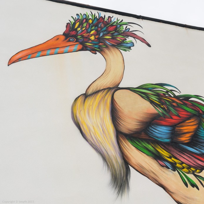 a1_20150510_20150510__DSC7211_6000 x 4000