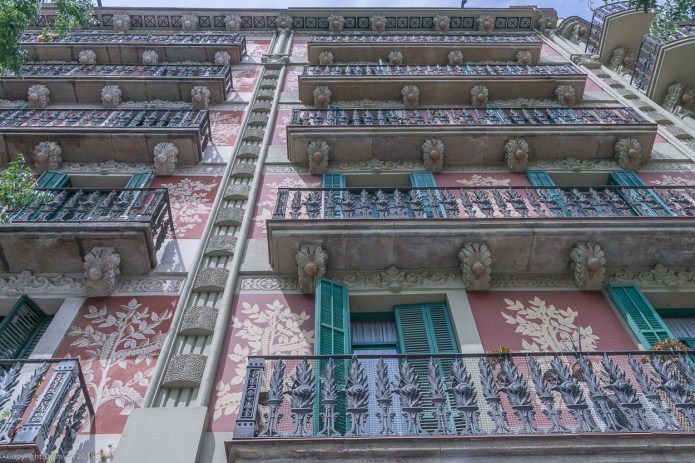 a1_20150514_20150514__DSC7332_6000 x 4000