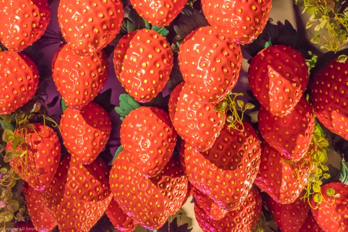 a1_20150514_20150514__DSC7423_6000 x 4000