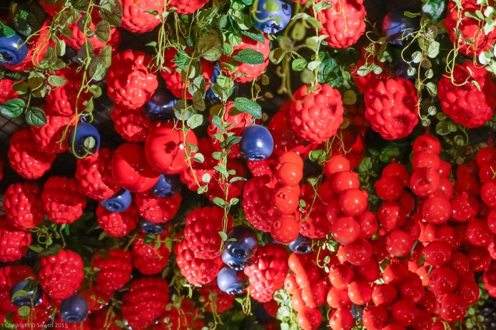 a1_20150514_20150514__DSC7444_6000 x 4000