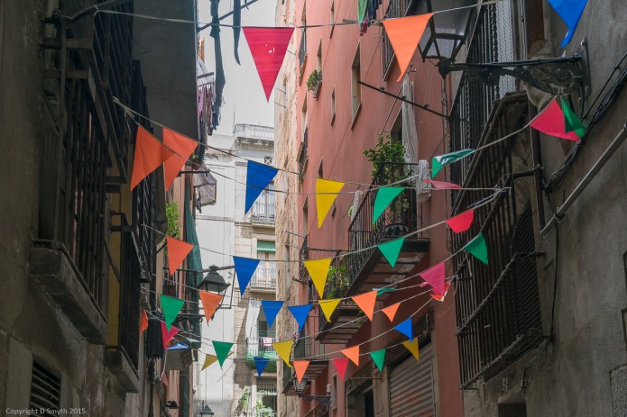 a1_20150515_20150515__DSC7588_6000 x 4000