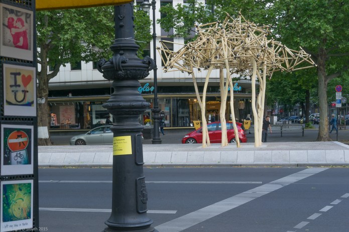 a1_20150530_20150530__DSC9698_6000 x 4000-2