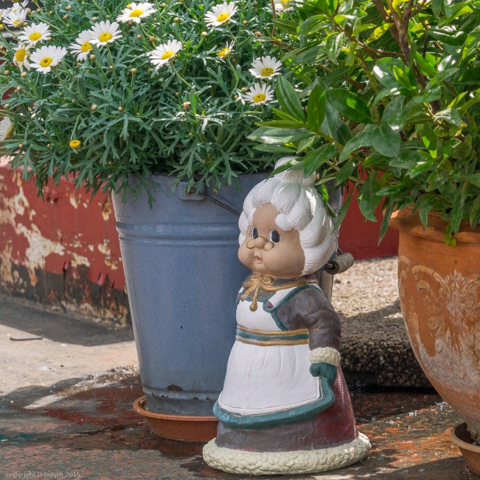 a1_20150603_20150603__DSC0169_6000 x 4000