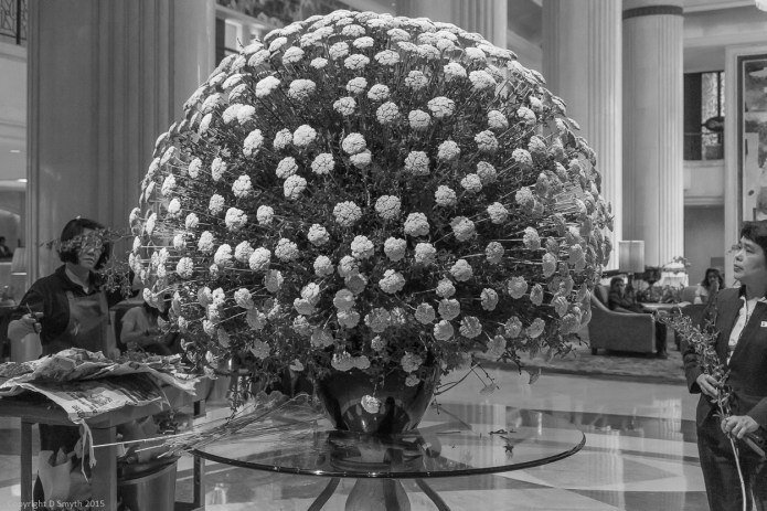 a1_20150727_20150727__DSC1823_6000 x 4000