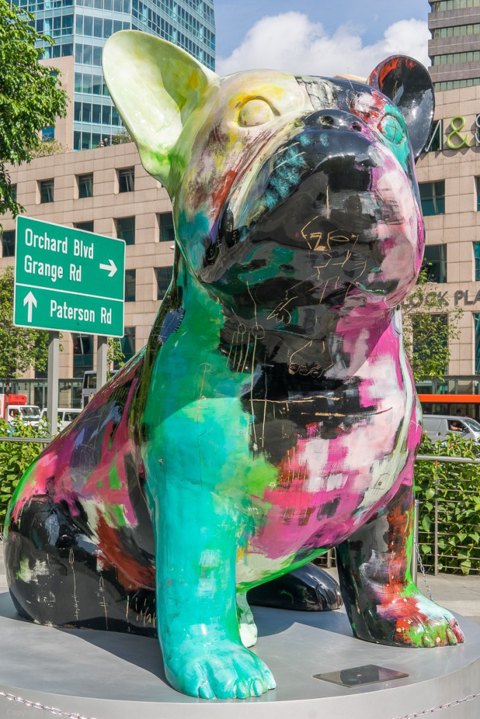 a1_20150727_20150727__DSC1827_6000 x 4000