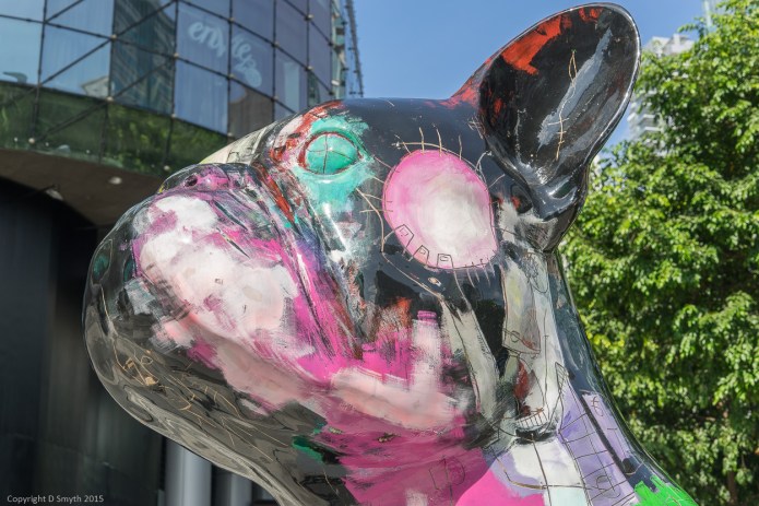 a1_20150727_20150727__DSC1831_6000 x 4000