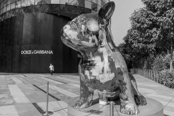 a1_20150727_20150727__DSC1832_6000 x 4000-2