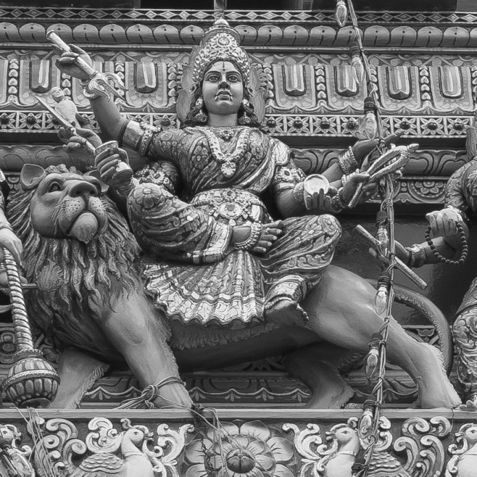 a1_20150727_20150727__DSC1965_6000 x 4000-2