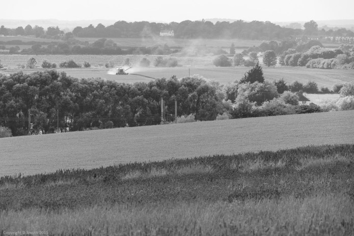 a1_20150808_20150808__DSC9697_6000 x 4000-2