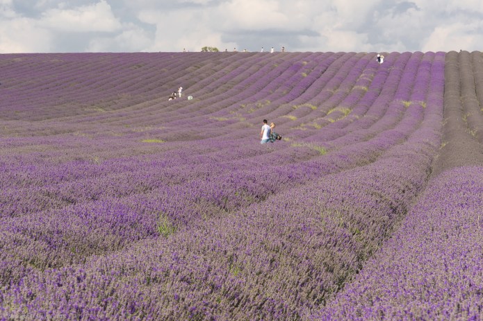 a1_20150808_20150808__DSC9711_6000 x 4000