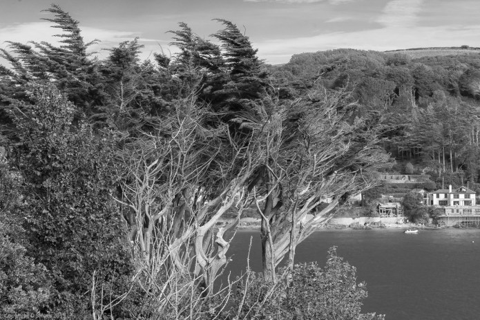 a1_20150828_20150828__DSC9848_6000 x 4000