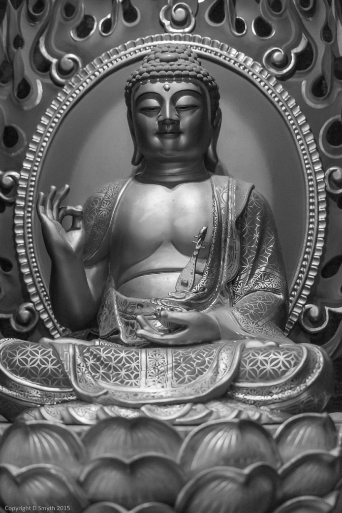 a1_20150719__DSC1017_4000 x 6000-2