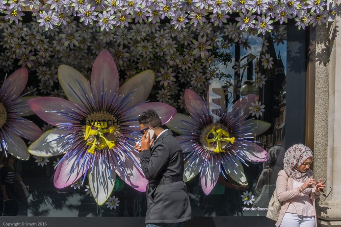 a1_20150906_20150906__DSC0162_6000 x 4000