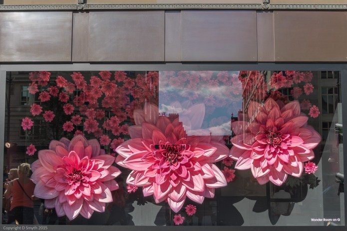 a1_20150906_20150906__DSC0172_6000 x 4000-6