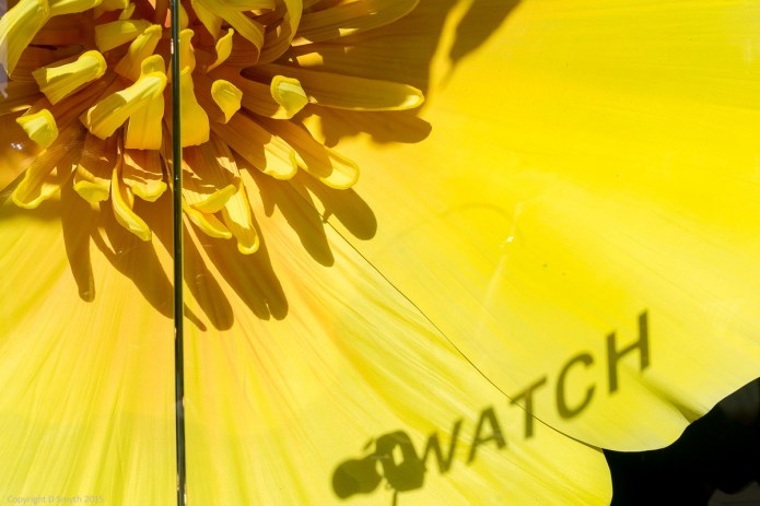 a1_20150906_20150906__DSC0176_6000 x 4000-5