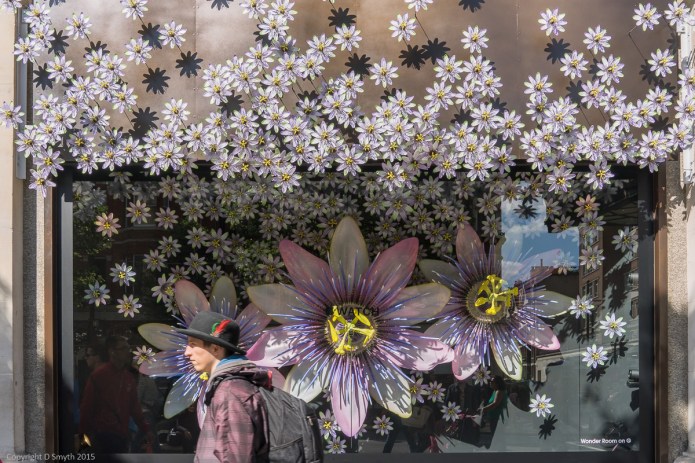 a1_20150906_20150906__DSC0180_6000 x 4000