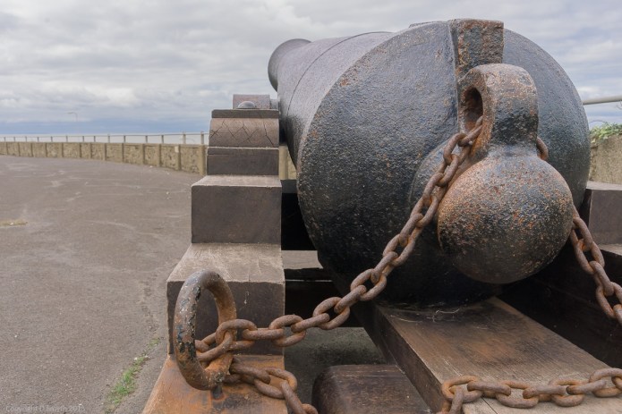 a1_20150907_20150907__DSC0319_6000 x 4000-2