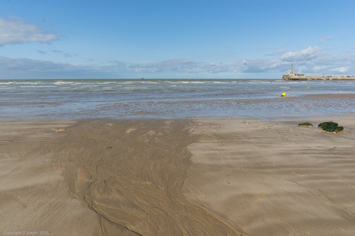 a1_20150907_20150907__DSC0445_6000 x 4000