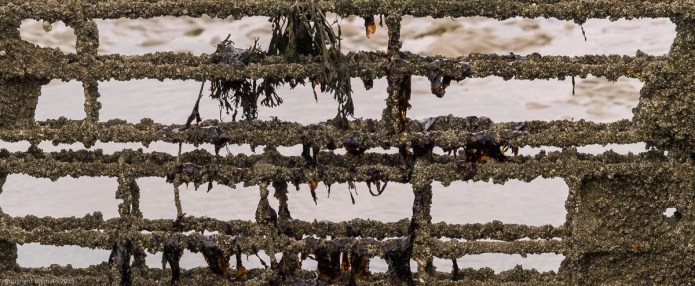 a1_20150920_20150920__DSC0954_6000 x 4000