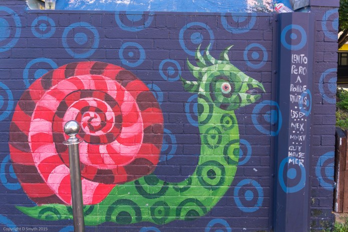 a1_20150927_20150927__DSC1490_6000 x 4000