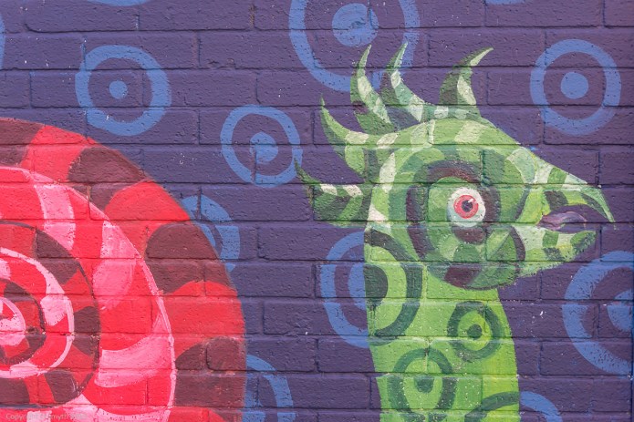 a1_20150927_20150927__DSC1491_6000 x 4000