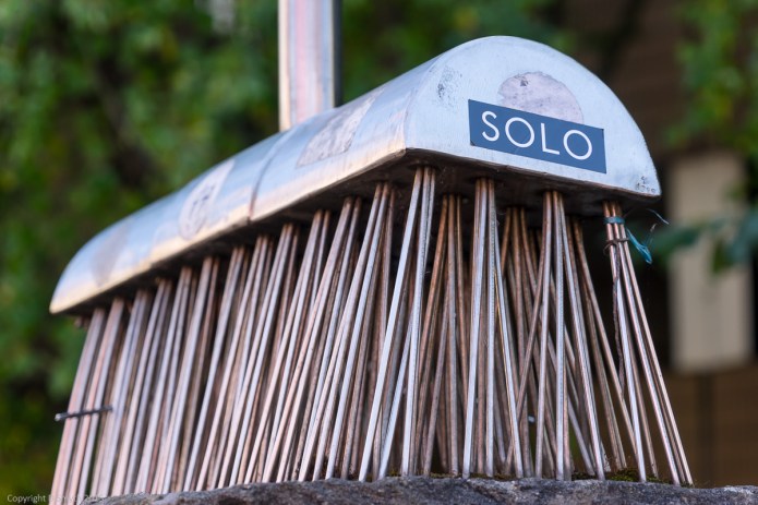 a1_20150927_20150927__DSC1500_6000 x 4000