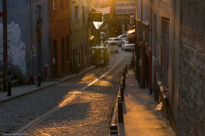 a1_20150420_20150420__DSC4550_6000 x 4000