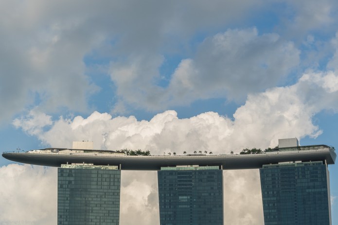 a1_20150721_20150721__DSC1436_6000 x 4000-2