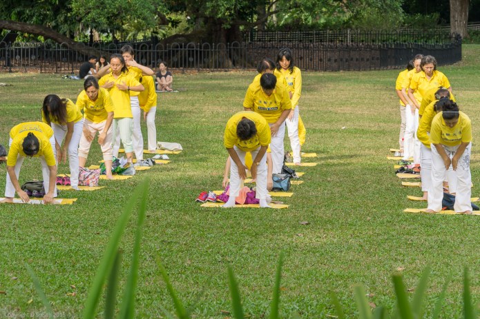 a1_20150726_20150726__DSC1791_6000 x 4000