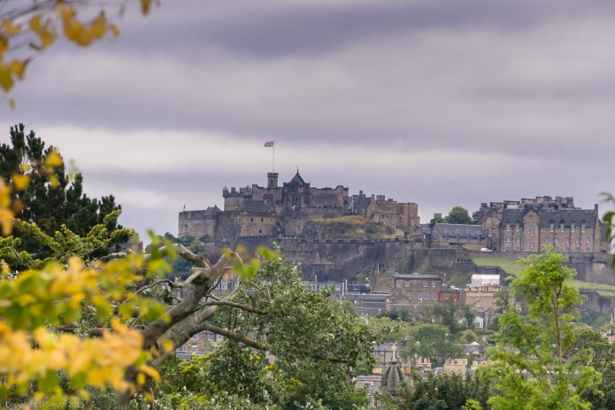 a1_20150919_20150919__DSC0812_6000 x 4000-3