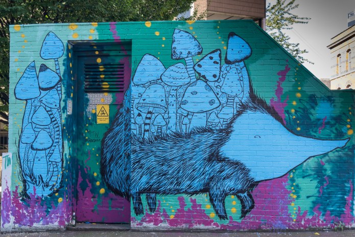 a1_20150927_20150927__DSC1493_6000 x 4000