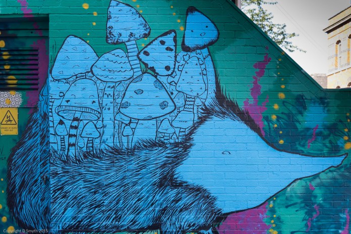 a1_20150927_20150927__DSC1494_6000 x 4000