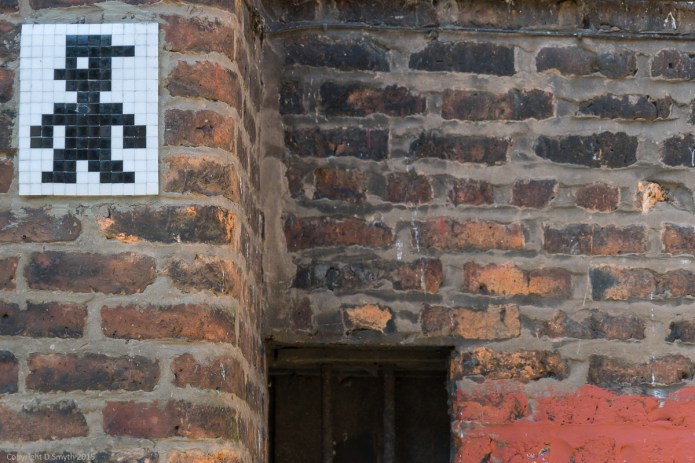 a1_20150927_20150927__DSC1514_6000 x 4000