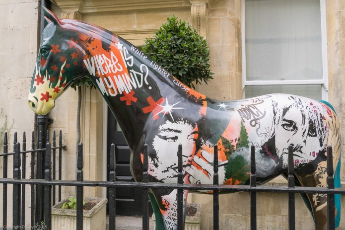 a1_20151019_20151019__DSC1707_6000 x 4000