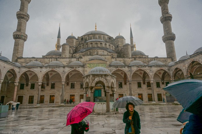 a1_20140225_DSC02446_4912 x 3264-2