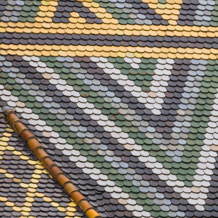 a1_20150312_20150312__DSC1761_2624 x 3936-3