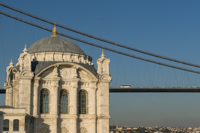 a1_20150420_20150420__DSC4405_6000 x 4000