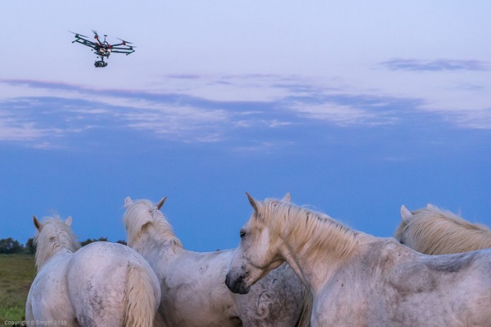 a1_20150525_20150525__DSC9467_6000 x 4000