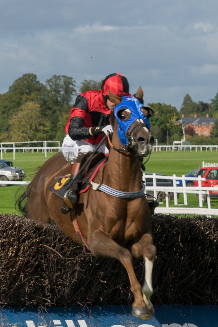 a1_20150925__DSC1050_6000 x 4000