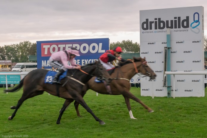 a1_20151018_20151018__DSC1632_6000 x 4000