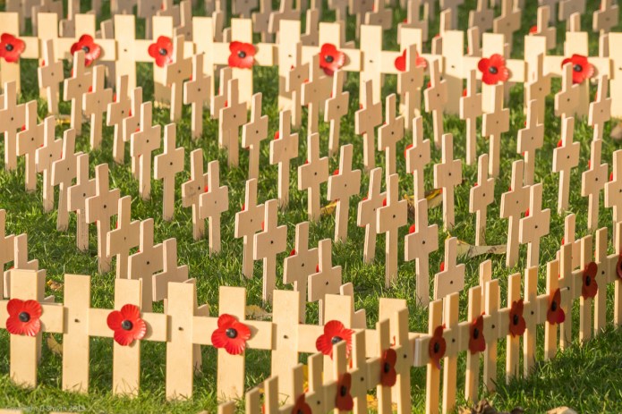 a1_20151029_20151029__DSC1933_6000 x 4000-2