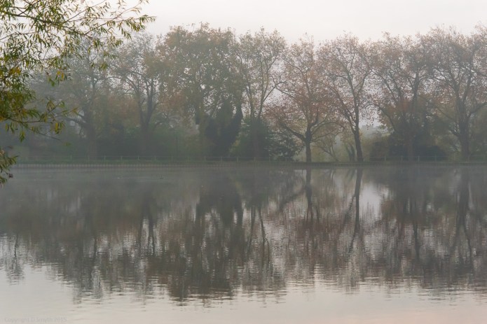 a1_20151101_20151101_untitled_012_6000 x 4000-2