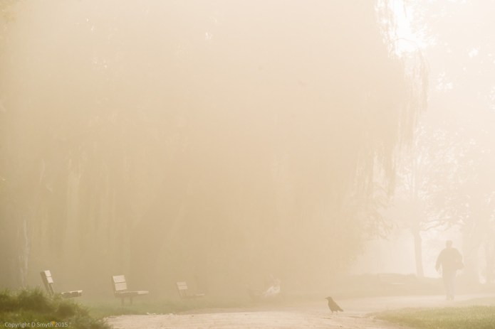 a1_20151101_20151101_untitled_106_6000 x 4000-2