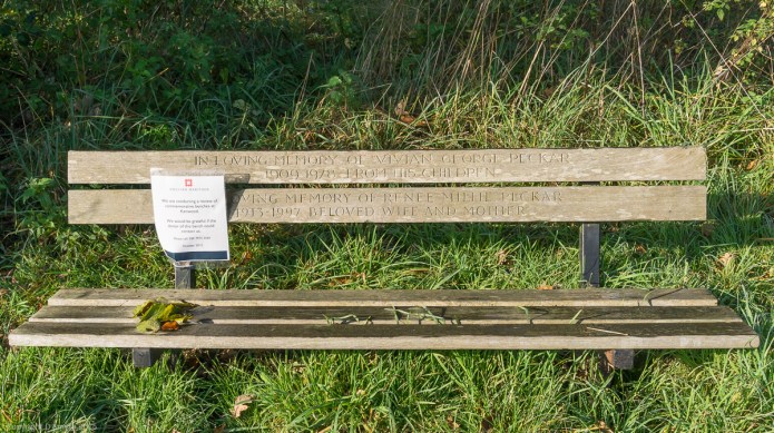 a1_20151101_20151101_untitled_183_6000 x 4000