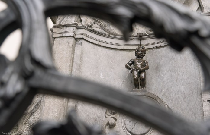 a1_20151118_20151118_untitled_049_6000 x 4000