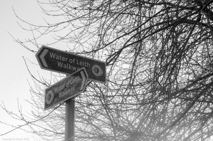 a1_20150124__DSC0011_6000 x 4000-2