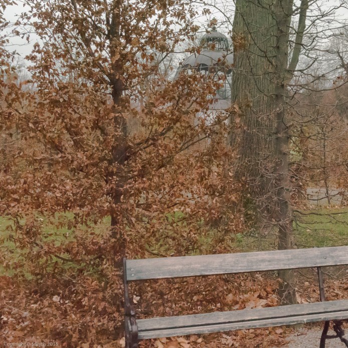 a1_20151127_20151127_untitled_021_6000 x 4000-2