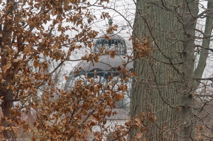 a1_20151127_20151127_untitled_022_6000 x 4000